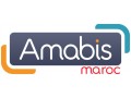 +détails : AMABIS MAROC - Services & Prestation Numériques